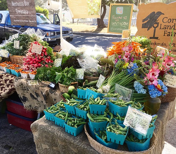 cut-flowers-and-flowers-inputs-marketing